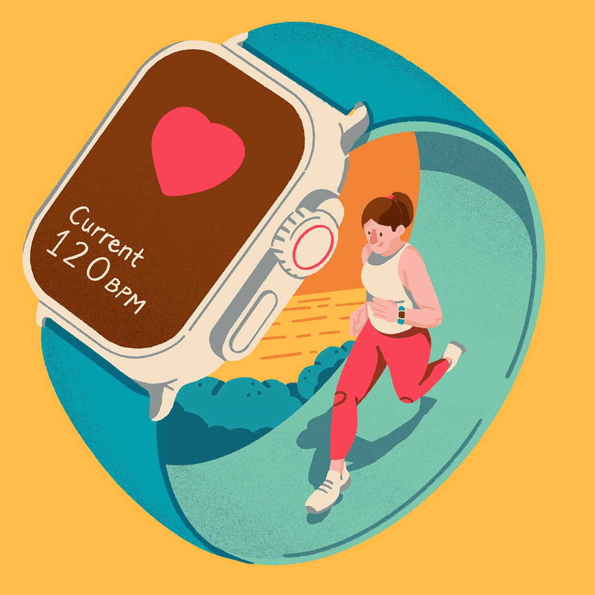 heart rate and fitness